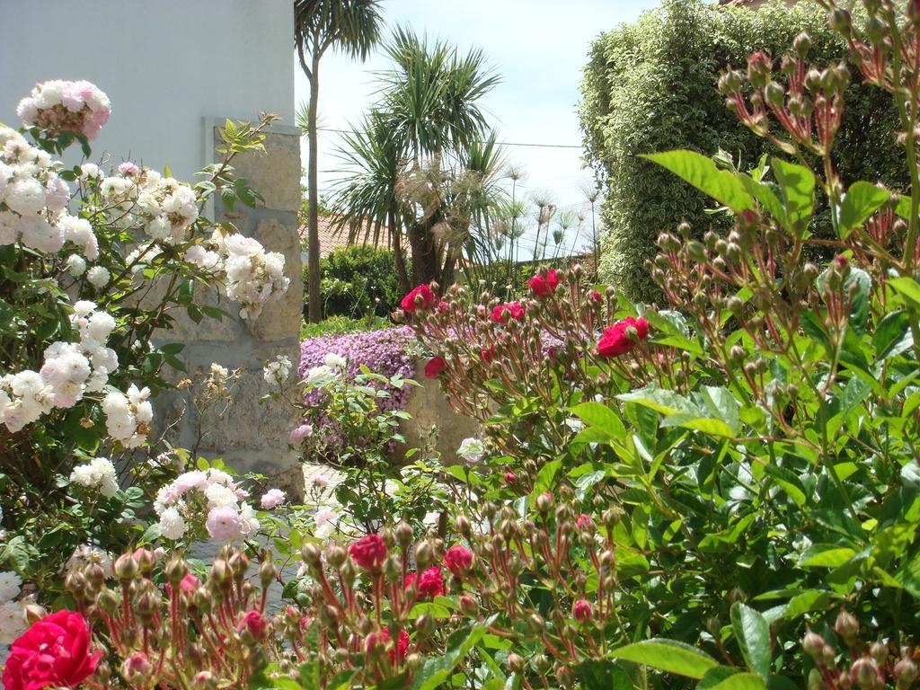 Casa De Hospedes Flor Do Jardim Malveira Extérieur photo